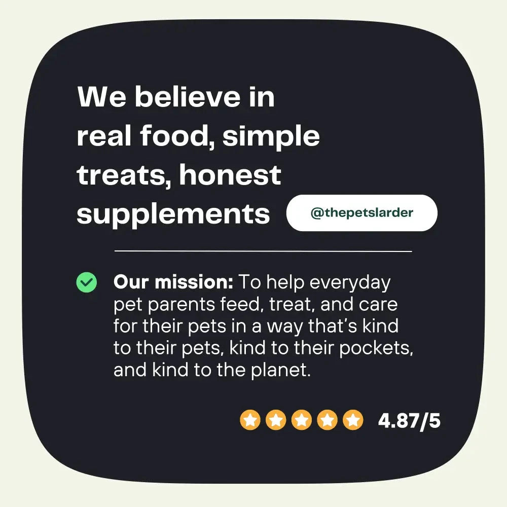 Pumpkin Powder for Dogs – Natural Digestive Support from Cornwall by The Pets Larder (pumpkin-powder-for-dogs-digestion-aid)
