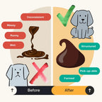 Pumpkin Powder for Dogs – Natural Digestive Support from Cornwall by The Pets Larder (pumpkin-powder-for-dogs-digestion-aid)