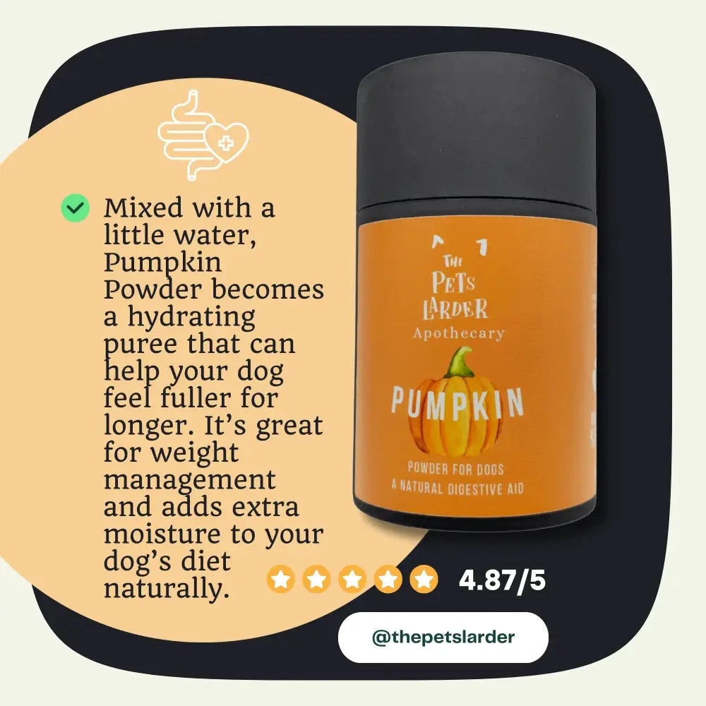 Pumpkin Powder for Dogs – Natural Digestive Support from Cornwall by The Pets Larder (pumpkin-powder-for-dogs-digestion-aid)