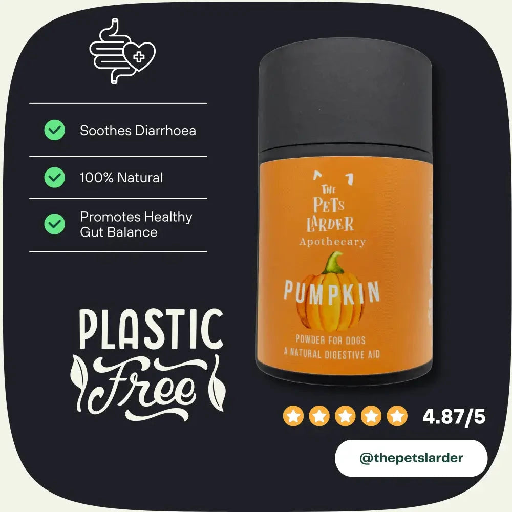 Pumpkin Powder for Dogs – Natural Digestive Support from Cornwall by The Pets Larder (pumpkin-powder-for-dogs-digestion-aid)