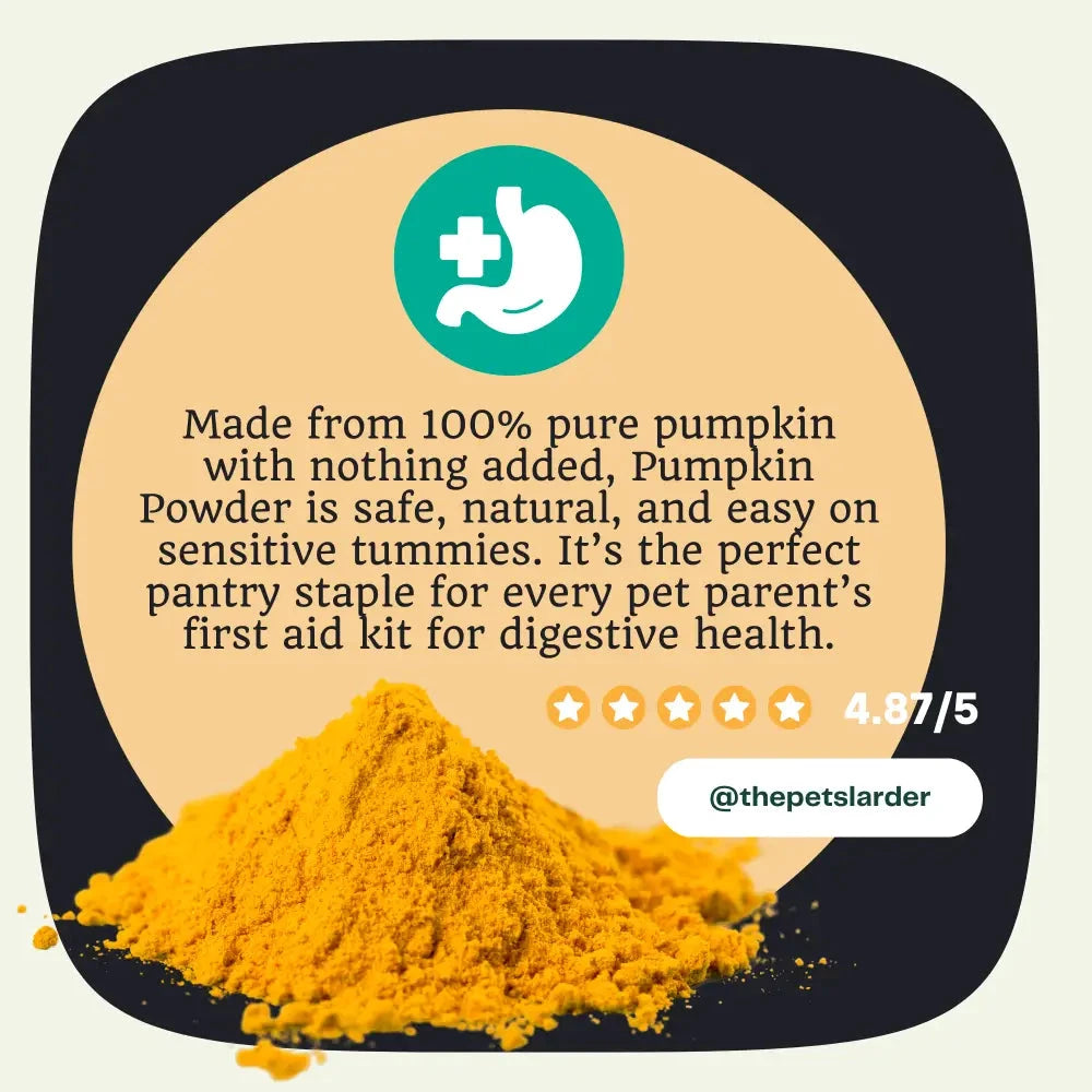 Pumpkin Powder for Dogs – Natural Digestive Support from Cornwall by The Pets Larder (pumpkin-powder-for-dogs-digestion-aid)