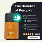 Pumpkin Powder for Dogs – Natural Digestive Support from Cornwall by The Pets Larder (pumpkin-powder-for-dogs-digestion-aid)