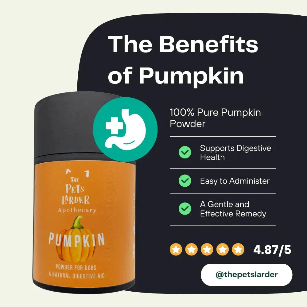 Pumpkin Powder for Dogs – Natural Digestive Support from Cornwall by The Pets Larder (pumpkin-powder-for-dogs-digestion-aid)