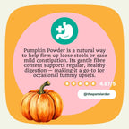 Pumpkin Powder for Dogs – Natural Digestive Support from Cornwall by The Pets Larder (pumpkin-powder-for-dogs-digestion-aid)