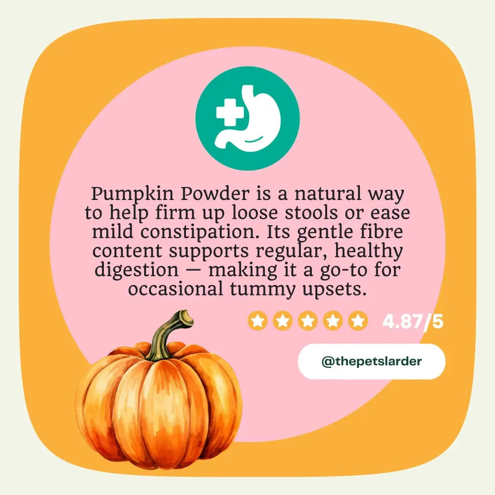 Pumpkin Powder for Dogs – Natural Digestive Support from Cornwall by The Pets Larder (pumpkin-powder-for-dogs-digestion-aid)