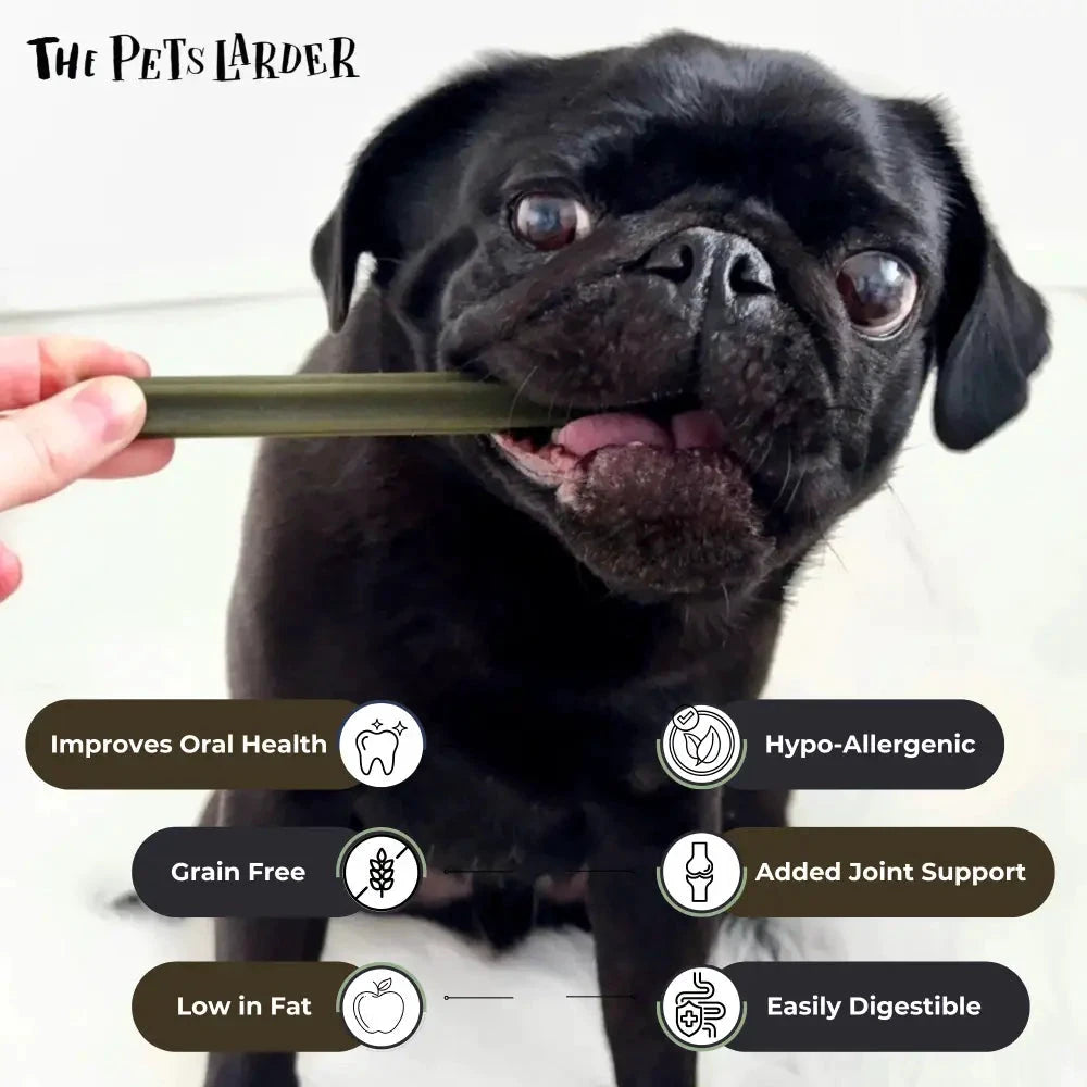 Spinach and Cranberry Chew Stick Grain Free for Dogs | The Pets Larder by The Pets Larder (spinach-cranberry-chew-stick-vegetable-chew-for-dogs)