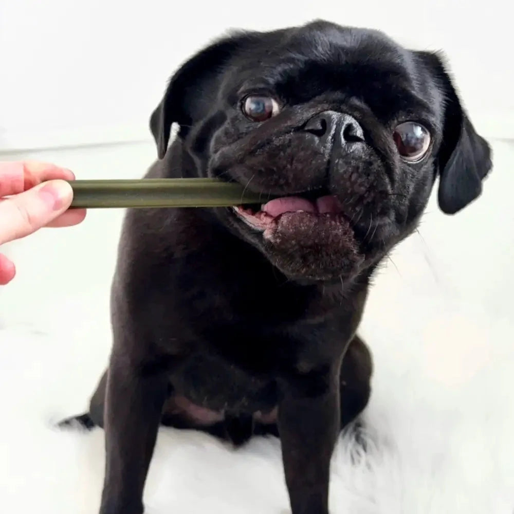 Spinach and Cranberry Chew Stick Grain Free for Dogs | The Pets Larder by The Pets Larder (spinach-cranberry-chew-stick-vegetable-chew-for-dogs)