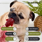 Strawberry Banana Dolphin Vegetable Dog Chew | The Pets Larder by The Pets Larder (strawberry-banana-dolphin-vegetable-chew-for-dogs)