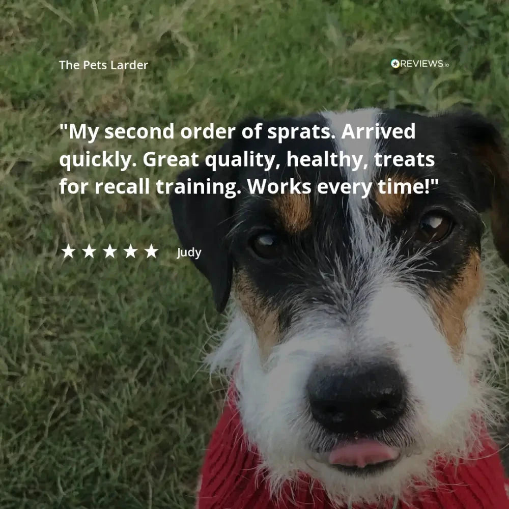 Venison Skin Dog Treats Natural Chews | The Pets Larder by The Pets Larder (venison-skin-natural-meat-chew-for-dogs)